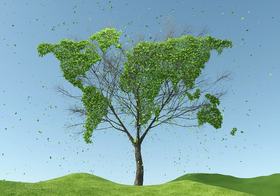 Zrównoważony rozwój, ekologia, ESG, źródło: Pixabay