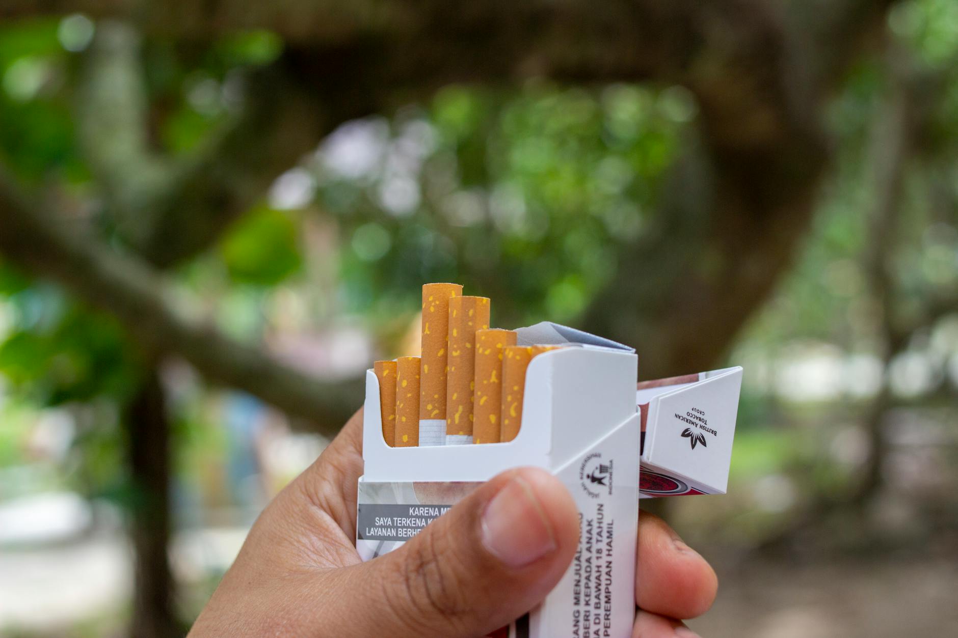 a person holding a pack of cigarette