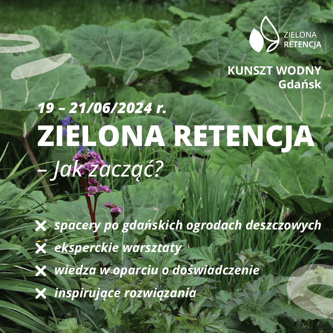 Zielona Retencja – jak zacząć? Nadchodzi III edycja konferencji w Gdańsku