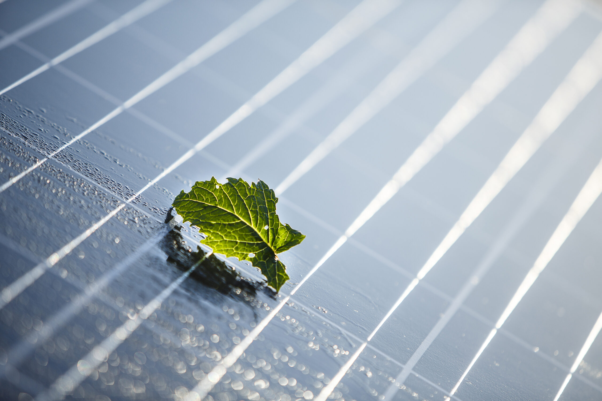 Farma fotowoltaicza, fot. Energa